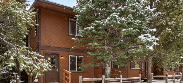 家园1号(Homestead #1)图片