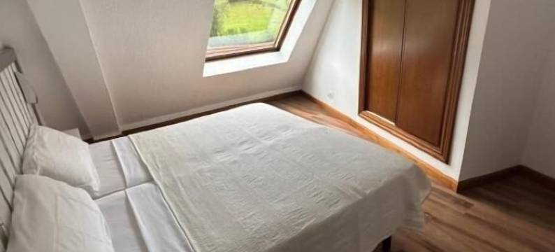 你好阿斯图尔绿色(Hello Astur Green)图片