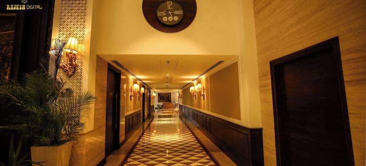 金色银河(Golden Galaxy)图片