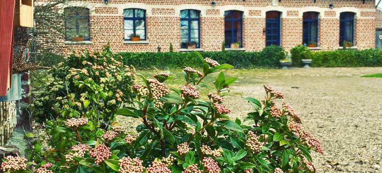 帕登霍夫住宿加早餐旅馆(Paardenhof Guesthouse)图片