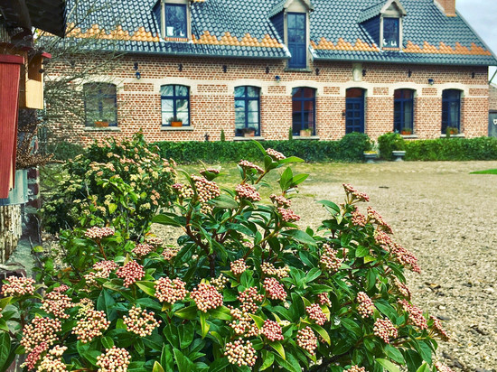 帕登霍夫住宿加早餐旅馆