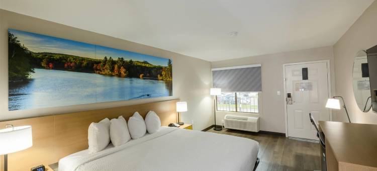 温德姆伯锡尔城戴斯酒店及套房(Days Inn & Suites by Wyndham Bossier City)图片