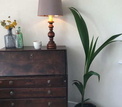 Detacted , Luxury  Lodge Within Open CountryHotel Overview