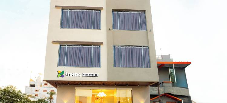 Treebo尼尔Orch(Treebo Neel Orchid)图片