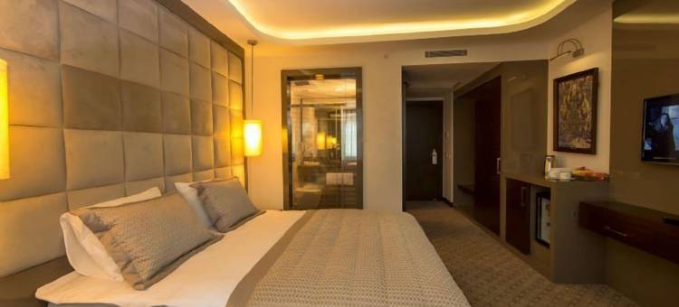 埃雷特纳酒店(Eretna Hotel)图片