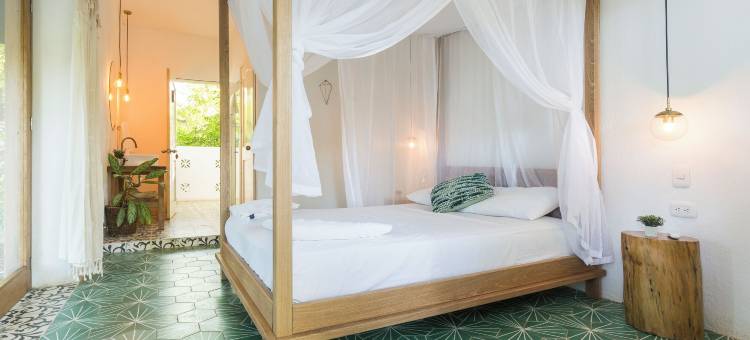 皇家孔雀之家精品酒店(Casa del Pavo Real Boutique Hotel)图片