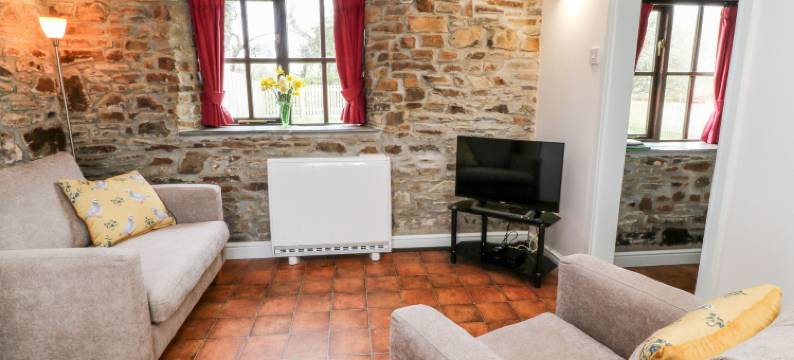 鹡鸰(Wagtail)图片