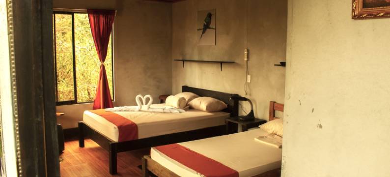 卡巴纳斯科利布里塔尤提克(Cabañas Colibrí Tayutic)图片