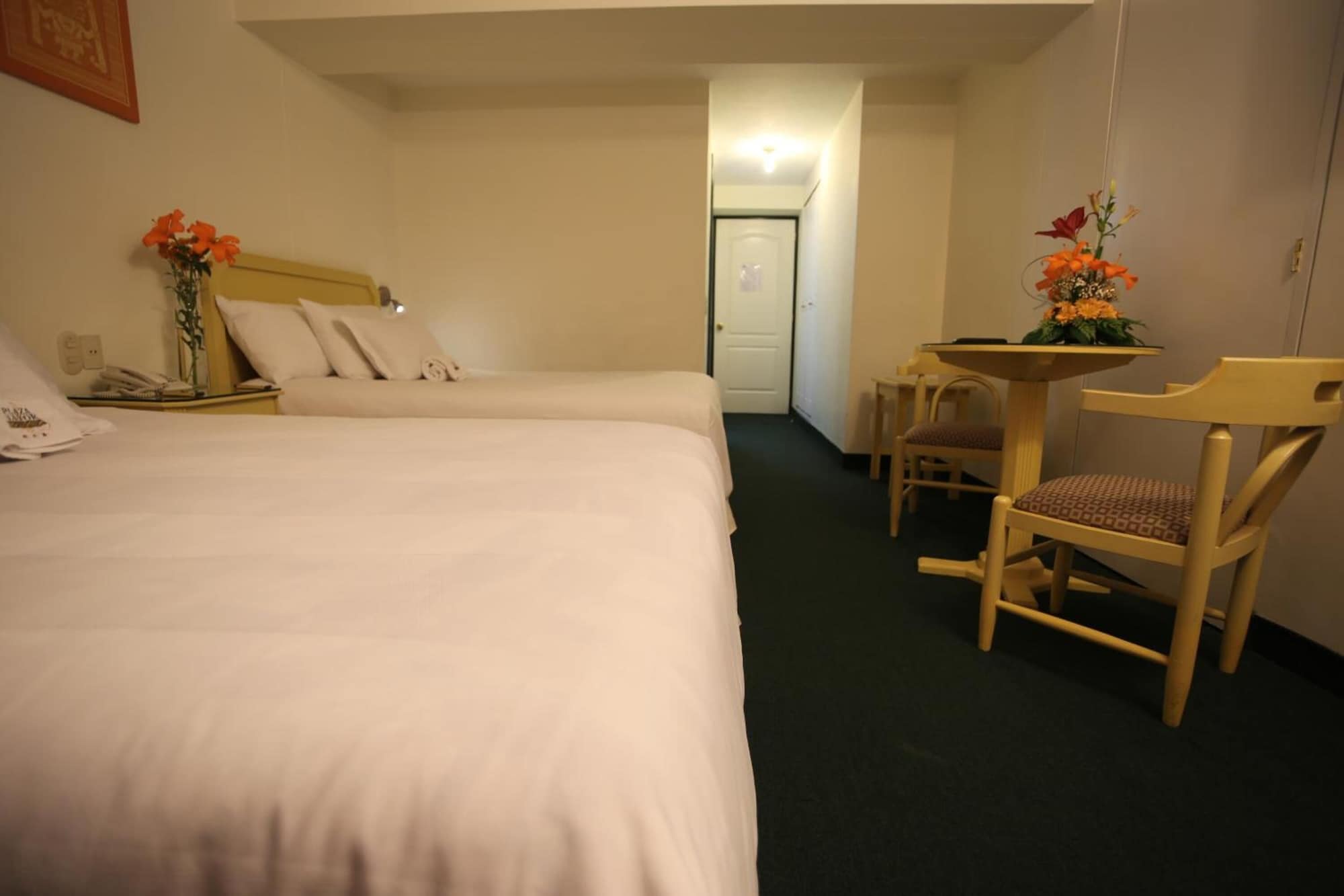 Plaza Mayor Hotel Over view