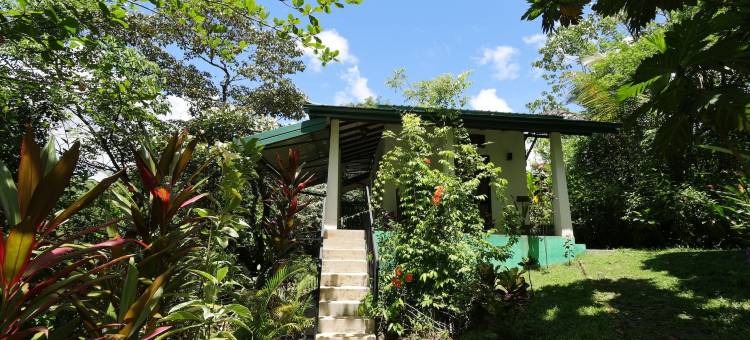 辛哈拉加河旅馆(Sinharaja River Lodge)图片