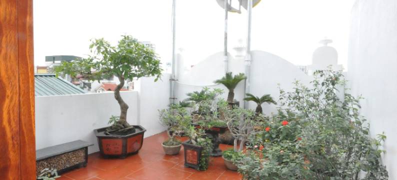 西贡太阳酒店(SaiGon Sun Hotel)图片