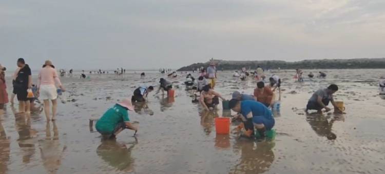 悠家203威海店公寓(金来路分店)图片