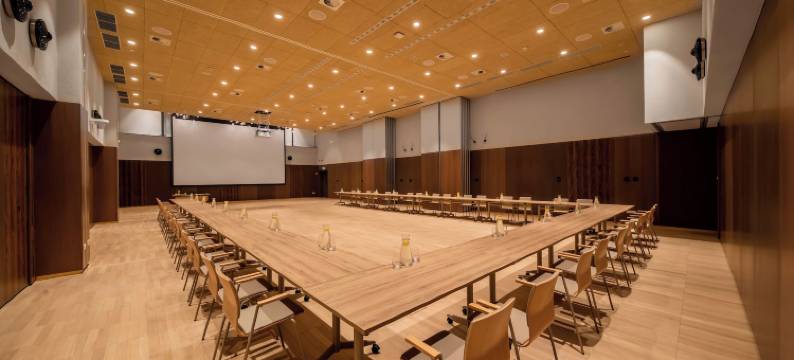 GLAR会议与SPA酒店(Hotel Glar Conference & Spa)图片