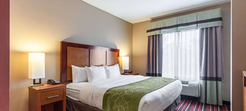 萨尔弗 - 查尔斯湖舒适套房酒店(Comfort Suites Sulphur-Lake Charles)图片