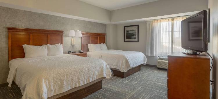 诺克斯维尔市中心欢朋酒店及套房(Hampton Inn & Suites Knoxville-Downtown)图片