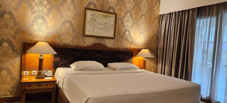 布米威亚塔酒店(Bumi Wiyata Hotel)图片