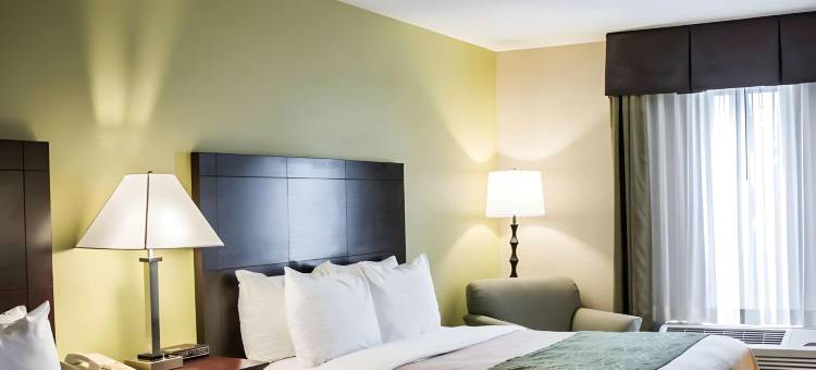 舒适酒店及套房-圣彼得堡-克利尔沃特国际机场(Comfort Inn & Suites St Pete - Clearwater International Airport)图片