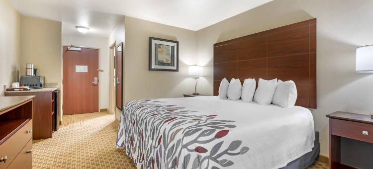 查尔斯顿红屋顶酒店(Red Roof Inn Charlestown)图片