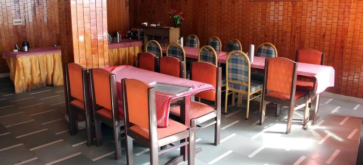 哈迪姆巴宫酒店(Hotel Hadimba Palace Manali)图片