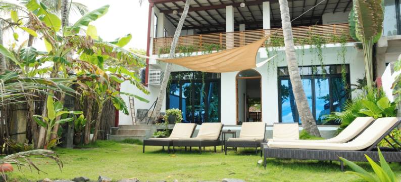 Parasol Doré = 金色阳伞(Parasol doré)图片