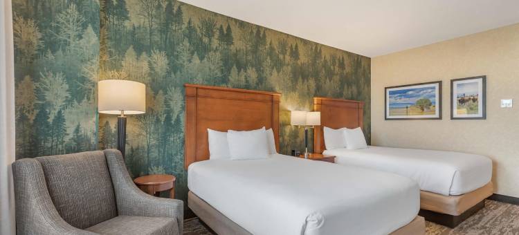 丹佛中央公园德鲁里套房酒店(Drury Plaza Hotel Denver Central Park)图片