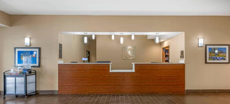 舒适酒店(Comfort Inn I-20 Midland Stanton)图片