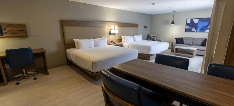 Sonesta ES Suites 拉斐特机场长住酒店(Sonesta ES Suites Lafayette Airport Extended Stay)图片