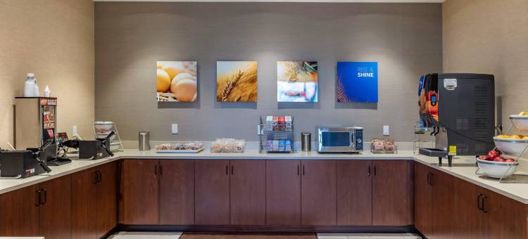 舒适套房酒店(Comfort Inn & Suites)图片