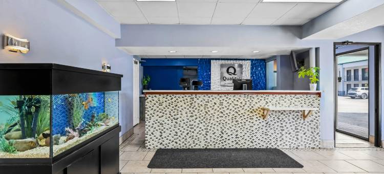 品质酒店南博林格林(Quality Inn)图片