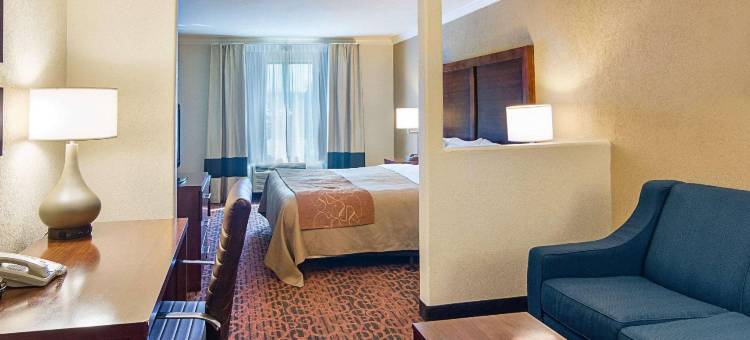 休斯顿基-卡蒂舒适套房酒店(Comfort Inn & Suites Houston West-Katy)图片