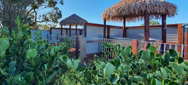 卡特斯海滩十大假日公园(Carters Beach Top 10 Holiday Park)图片