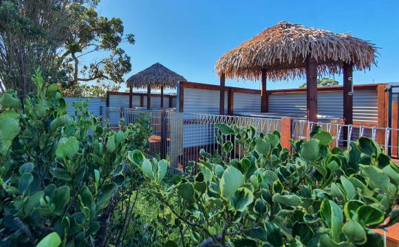 卡特斯海滩十大假日公园(Carters Beach Top 10 Holiday Park)