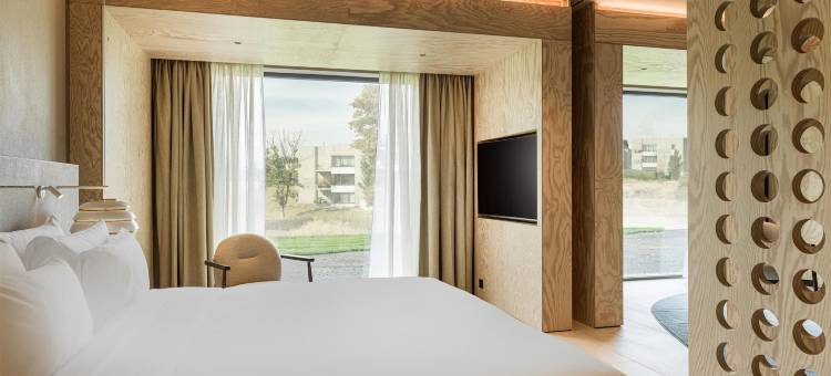 Radisson Collection 布鲁塞尔国家酒店(Radisson Collection Hotel, The National Brussels)图片