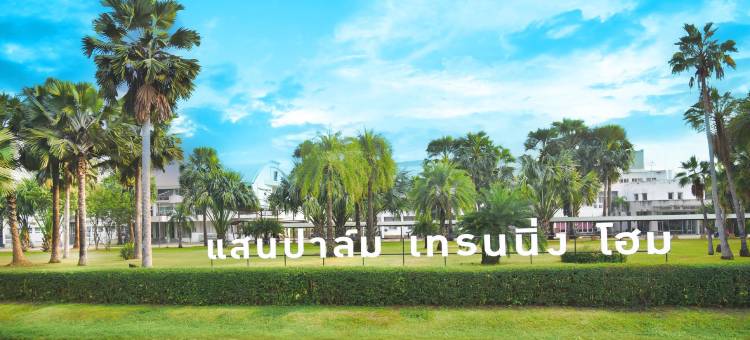 Saenpalm Training Home图片