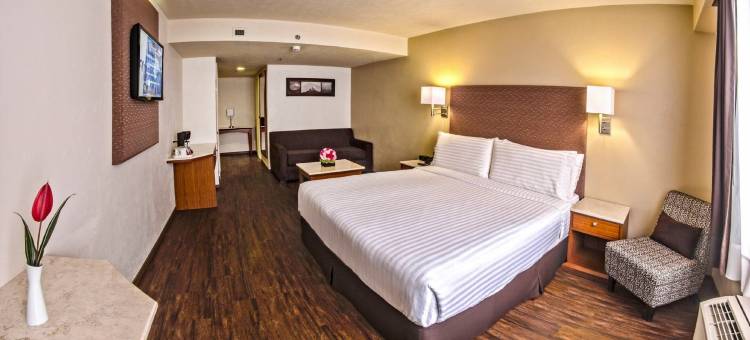 奥里扎巴假日酒店(Holiday Inn Orizaba)图片