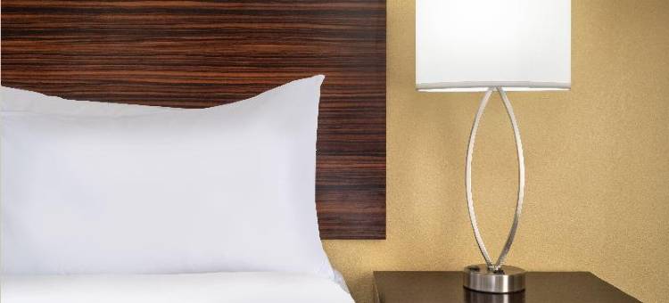 Ramada by Wyndham Houston Westchase(Ramada by Wyndham Houston Westchase)图片