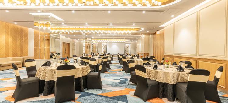 古尔冈29区丽怡酒店及套房(Radisson Hotel Sector 29 Gurugram)图片