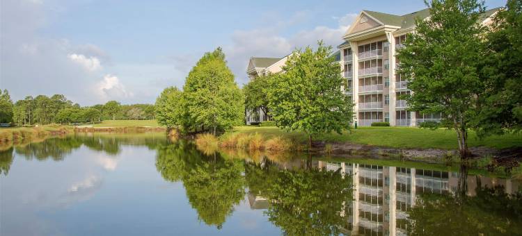 希尔顿度假俱乐部圣奥古斯丁(Hilton Vacation Club St Augustine)图片