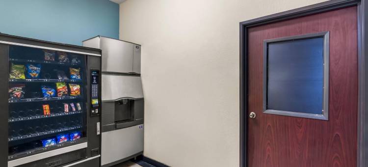 马林品质酒店及套房(Quality Inn & Suites - Marlin)图片