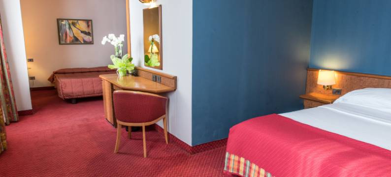 皮亚琴察思路酒店(Idea Hotel Piacenza)图片