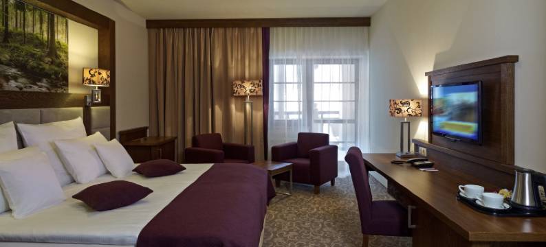 克雷尼察美居水疗度假酒店(Hotel Mercure Krynica Zdrój Resort&Spa)图片