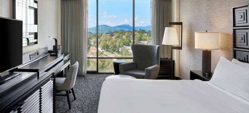 阿什维尔市中心万丽酒店(Renaissance Asheville Downtown Hotel)图片