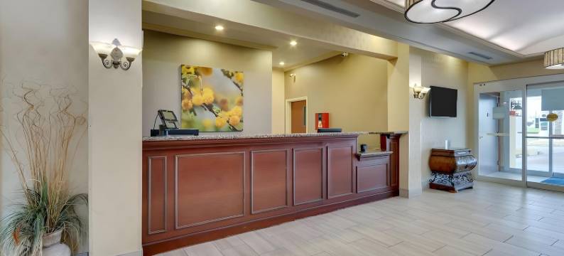 舒适酒店及套房(Comfort Inn & Suites)图片