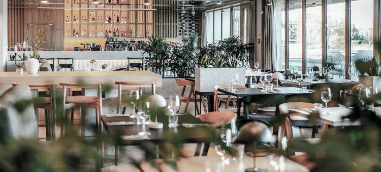 尼克尔度假村及格日博沃健康中心(Nickel Resort & Wellnest Kołobrzeg - Grzybowo)图片