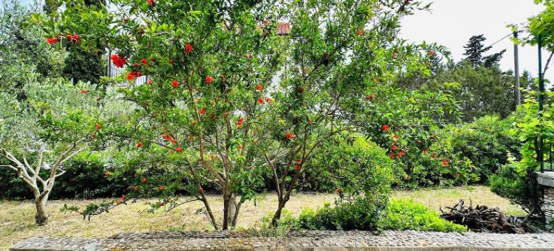 海滩别墅博尔(Beach House Bol)图片