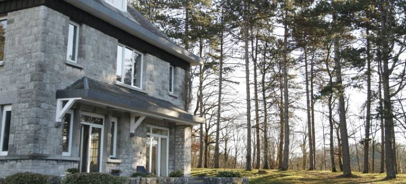 靠近开满鲜花的池塘(Aux étangs fleuris)图片