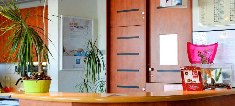 奥尔良西卢瓦尔河畔默恩宜必思快捷酒店(Ibis Budget Orléans Ouest Meung-Sur-Loire)图片