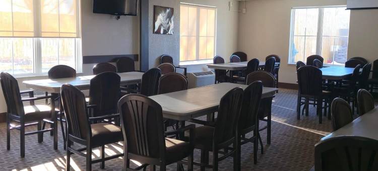 温德姆埃斯特万Travelodge套房(Travelodge Suites by Wyndham Estevan)图片