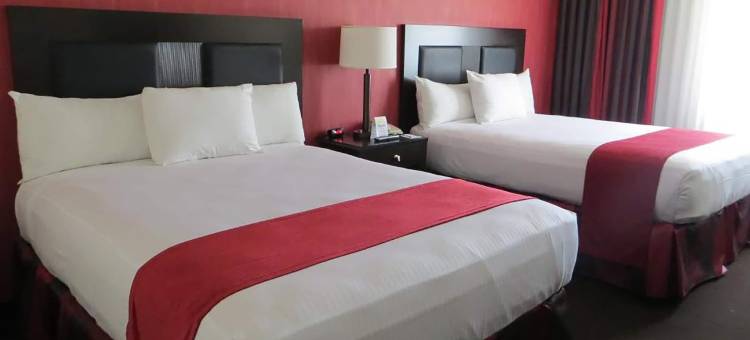 普里姆谷酒店及娱乐场，温德姆 Travelodge(Primm Valley Hotel & Casino, a Travelodge by Wyndham)图片