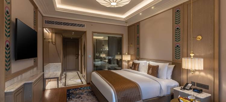 温德姆至尊乌代布尔Fateh Sagar 湖酒店(Wyndham Grand Udaipur Fateh Sagar Lake)图片